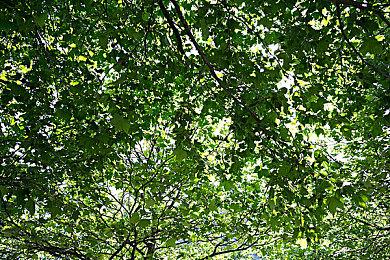 《消逝的光芒：困兽》野性觉醒预告 亦人亦兽战意涌