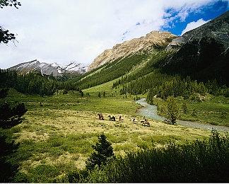 B社庆祝神舟十二号发射成功 蹭热度宣传《星空》